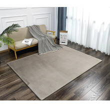 Salon avec canapé, couverture et tapis rectangulaire sur plancher en bois