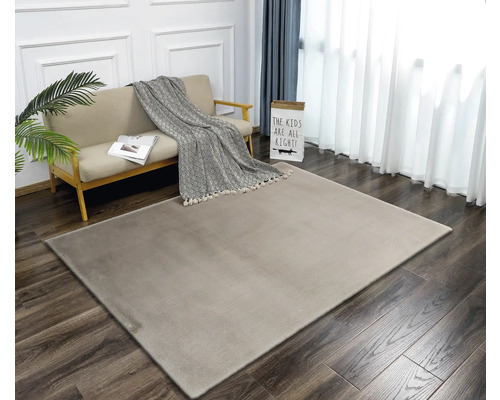 Salon avec canapé, couverture et tapis rectangulaire sur plancher en bois