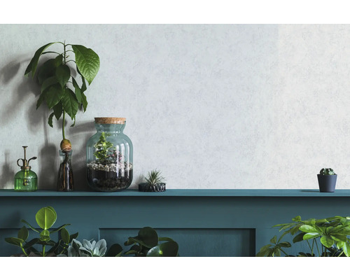 Plantes d''intérieur décoratives et pots de fleurs sur une étagère