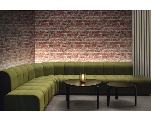 Vue d''une pièce avec un canapé modulable vert, deux tables rondes et un mur en briques