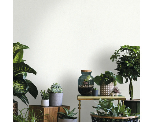 Intérieur avec diverses plantes d''intérieur sur des tables et des étagères, ambiance claire et conviviale.