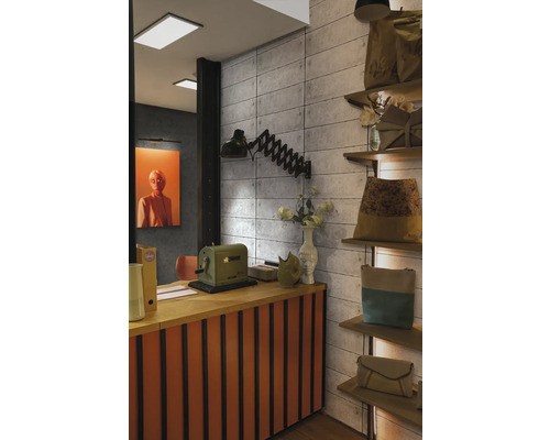 Intérieur avec comptoir, lampe et étagères avec marchandises