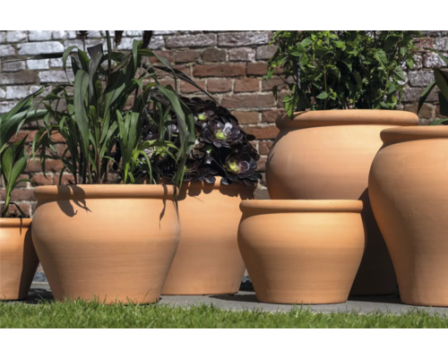 Divers pots de fleurs en terre cuite avec des plantes devant un mur en briques