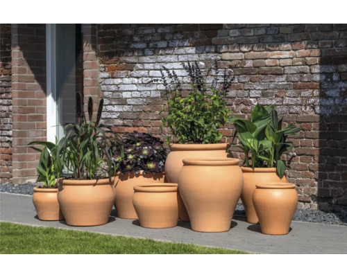 Groupe de pots de fleurs en terre cuite avec différentes plantes devant un mur en briques