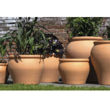 Divers pots de fleurs en terre cuite plantés devant un mur de briques.