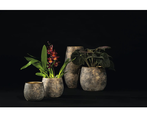 Divers pots de fleurs et jardinières avec plantes