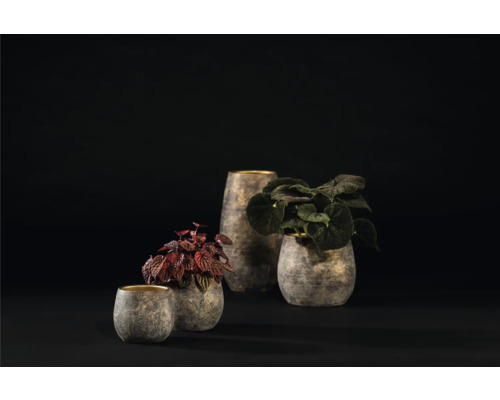 Arrangement de trois pots de fleurs structurés avec des plantes