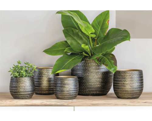 Pots de fleurs décoratifs de différentes tailles sur une étagère avec des plantes