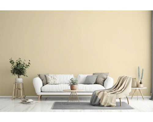 Salon avec canapé, fauteuil et décoration
