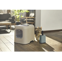 Katze neben Katzentoilette und Müllbehälter