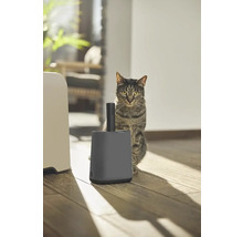 Katze neben Katzentoilette und Streuschaufel
