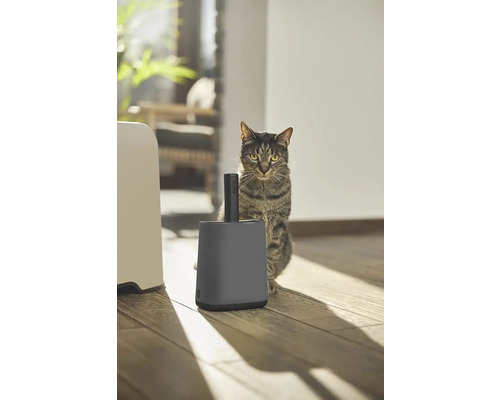 Katze neben Katzentoilette und Streuschaufel