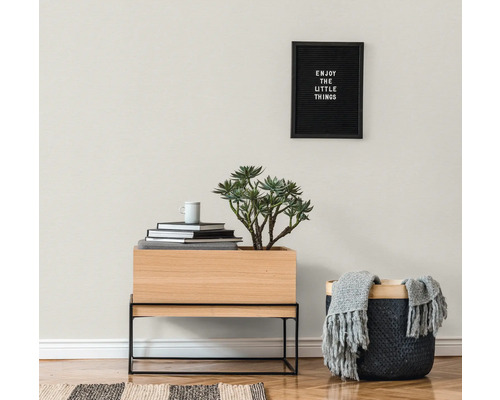 Salon avec plante, objets de décoration et message texte au mur