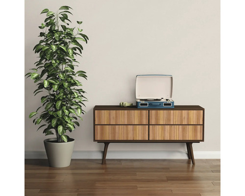 Scène avec plante d''intérieur, platine vinyle et commode dans la pièce