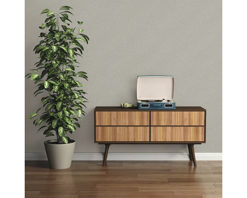 Salon décoratif avec plante, tourne-disque et commode