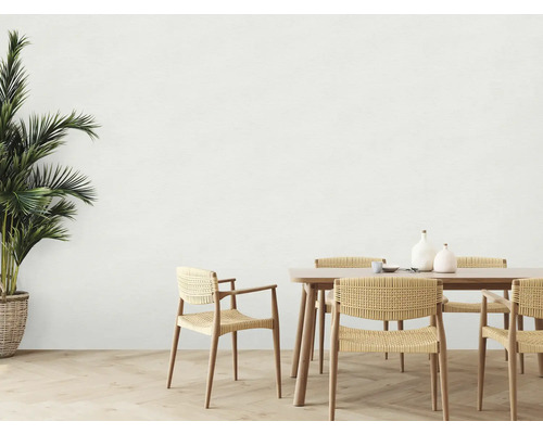Salle à manger avec table en bois, chaises et plante d''intérieur