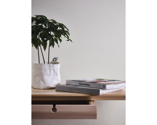 Dekorative Zimmerpflanze in Papiertüte, Bücherstapel auf einem Holztisch mit Schublade