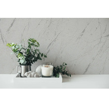 Scène décorative avec plante d''intérieur, bougie et papier peint imitation marbre