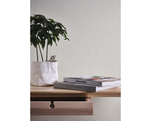 Dekorative Zimmerpflanze in Papiertüte auf einem Holztisch mit Schublade und zwei Büchern