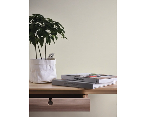 Dekorative Zimmerpflanze in weissem Übertopf mit zwei Büchern auf einem Holztisch mit Schublade