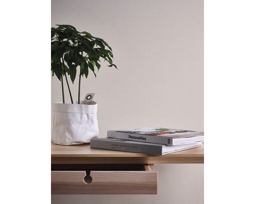 Dekoratives Arrangement mit Pflanze im Papierbeutel, Büchern und einem Holzschreibtisch mit Schublade
