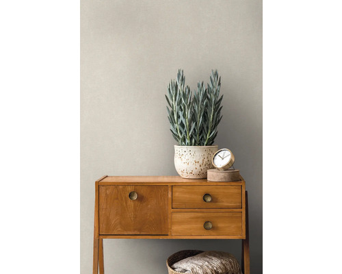 Photo d''intérieur d''une pièce avec une commode, une plante d''intérieur et une horloge