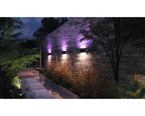 Jardin éclairé avec mur, plantes et allée de jardin