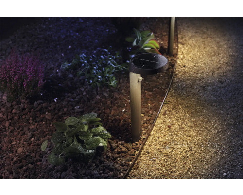 Beleuchteter Gartenweg mit Solarleuchte zwischen Pflanzen und Steinen