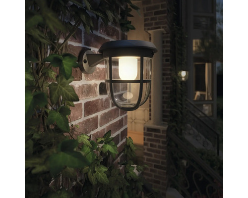 Aussenwandleuchte an einer Backsteinmauer mit Efeu