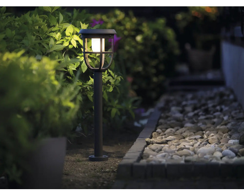 Allée de jardin avec lampe de jardin
