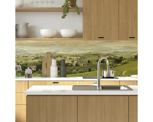 Scène de cuisine avec évier, robinet et motif de paysage comme crédence