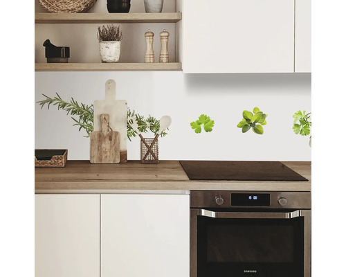 Scène de cuisine avec décoration murale à base d''herbes aromatiques