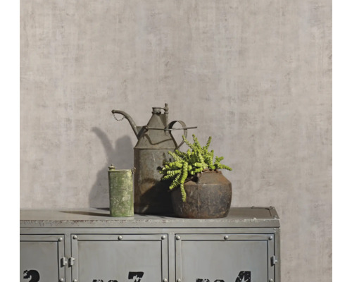 Nature morte décorative avec arrosoir, plante et armoire métallique
