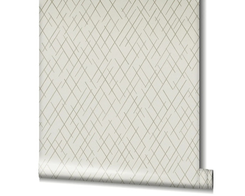 Rouleau de papier peint avec motif linéaire