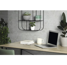 Bureau avec ordinateur portable, plantes et décoration