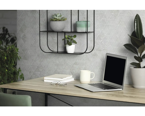 Bureau avec ordinateur portable, plantes et décoration