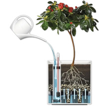 Illustration eines Bewässerungssystems für Pflanzen mit Giesskanne und Wasserstandsanzeige