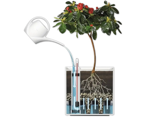 Illustration eines Bewässerungssystems für Pflanzen mit Giesskanne und Wasserstandsanzeige