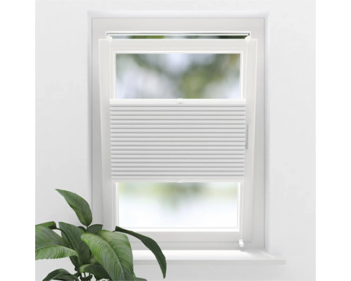 SOLUNA Wabenplissee mit Seitenverspannung verdunkelnd thermo weiss 75x220 cm Weisses Plissee-Rollo am Fenster zur Lichtregulierung