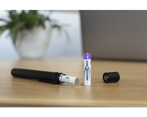 Pile Ansmann avec chargeur et lampe de poche ouverte