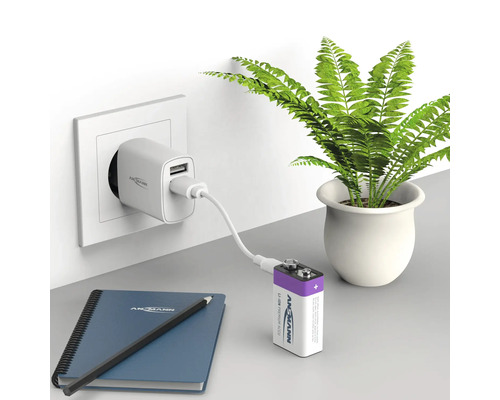 Chargeur Ansmann rechargeant une pile bloc de 9 volts avec un carnet et une plante