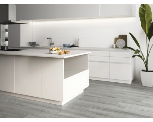 Cuisine claire avec îlot, évier et plante en pot