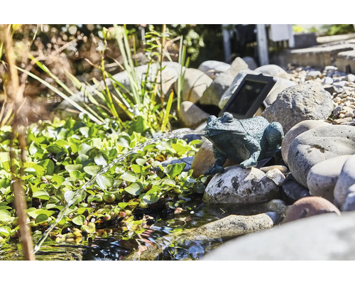 Solarbetriebener Froschbrunnen im Gartenteich mit Steinen und Pflanzen