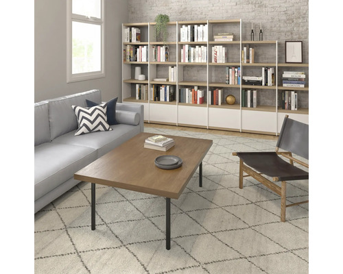 Salon avec canapé, table basse et bibliothèque