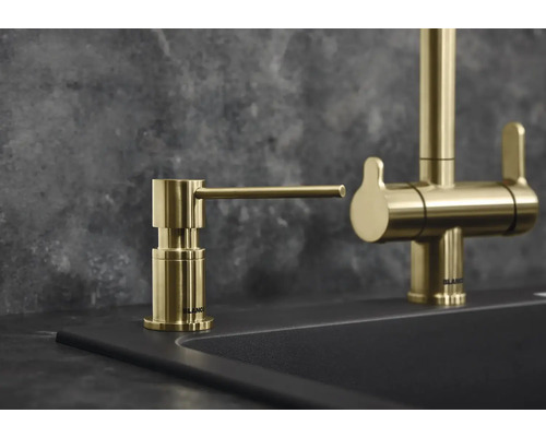 Spülmittelspender und Wasserhahn aus Metall