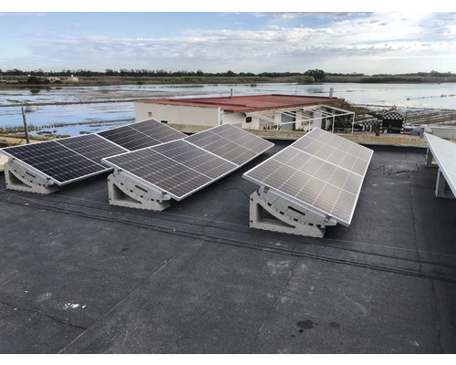 Panneaux solaires montés sur un toit pour la production d''énergie.