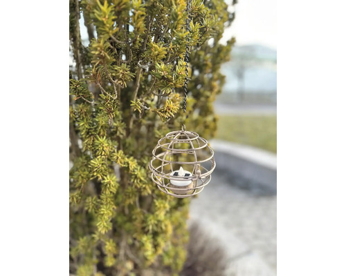 Lampe solaire décorative en forme de boule suspendue à un arbre