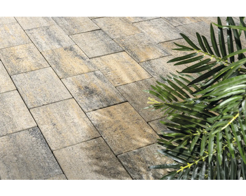 Pavés dans le jardin