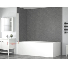 Pare-baignoire 1 partie form&style BAFIA 750 x 1400 mm verre transparent couleur de profilé blanc