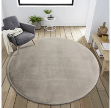 Tapis rond sur parquet dans un salon avec fauteuil, table et étagère.